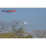 Volantex RC Plane Ranger 600 – 600mm pusher glider with Gyro RTF